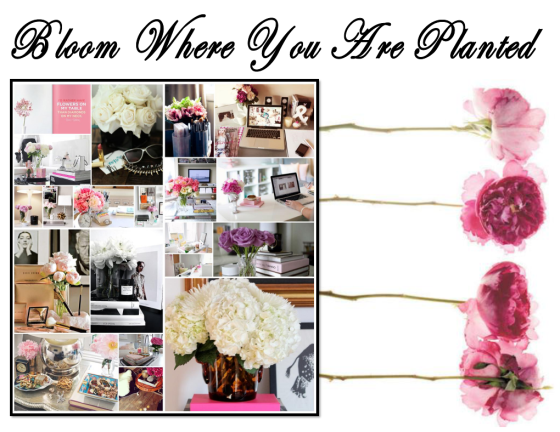 bloomwhereyouareplanted